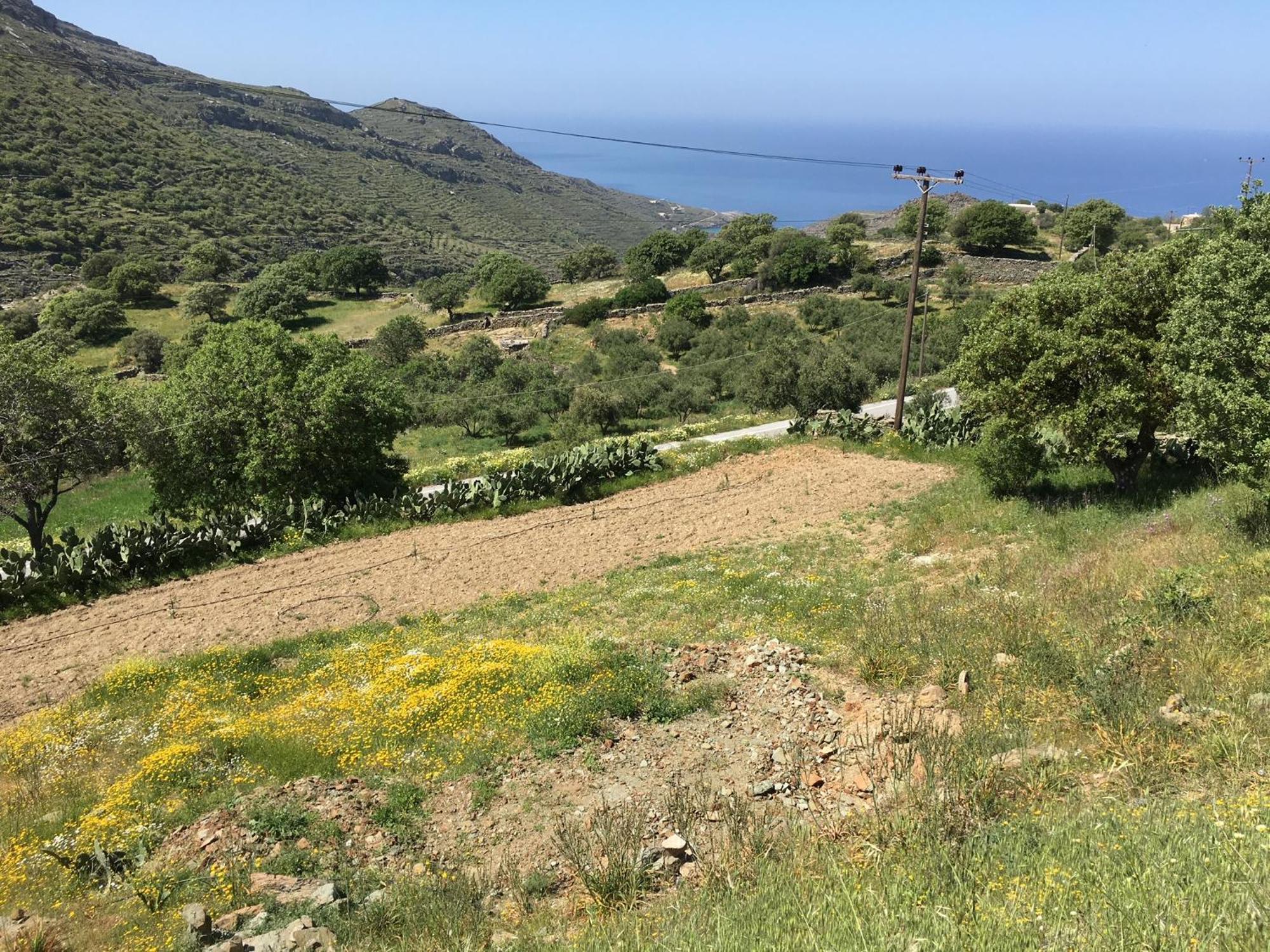 Rural Guest House B&B Chavouna المظهر الخارجي الصورة