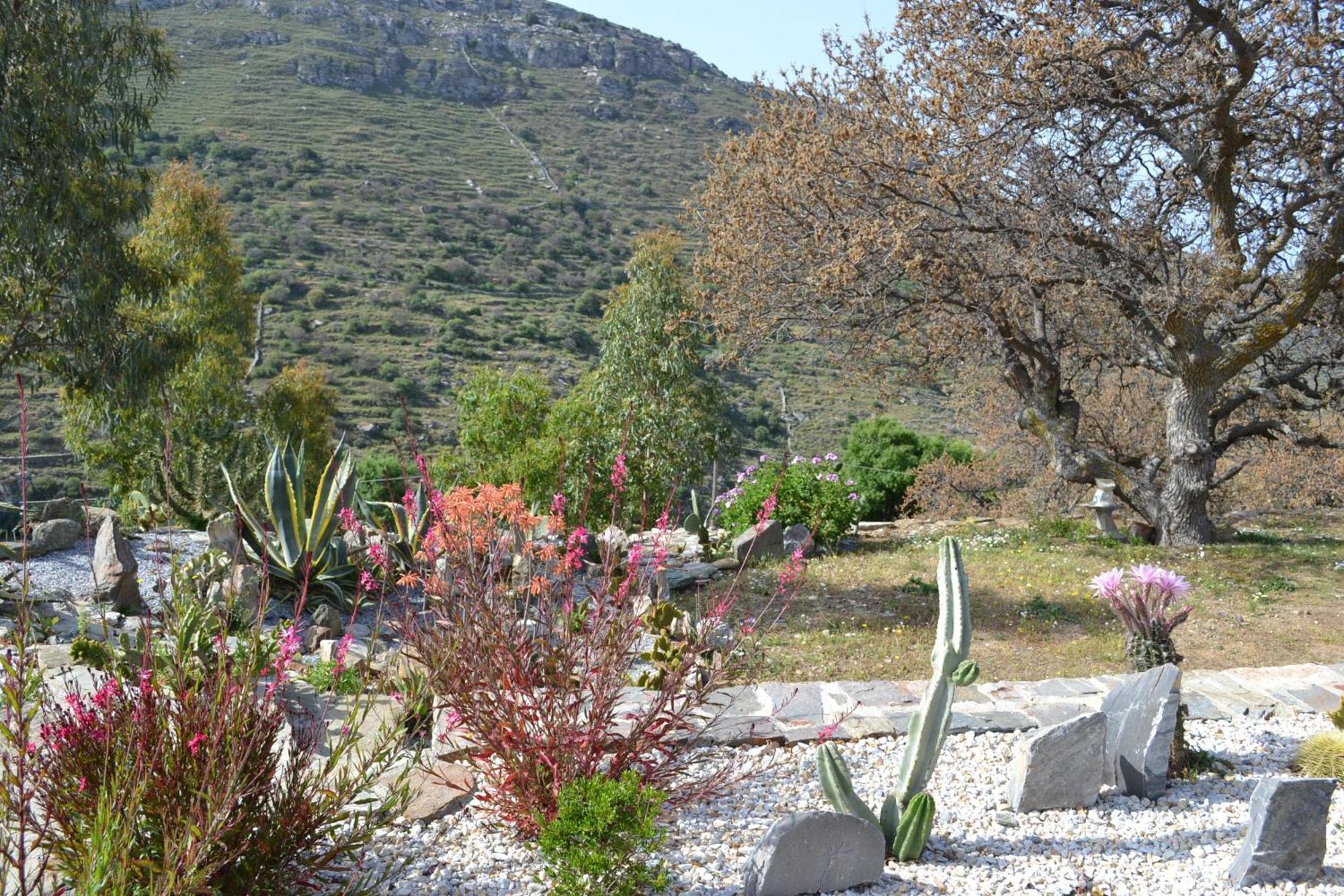 Rural Guest House B&B Chavouna المظهر الخارجي الصورة